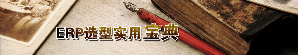 ERP选型实用宝典
