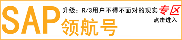 SAP�캽��
